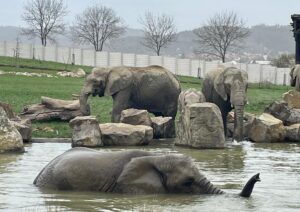 Zoo Zlín – setkání s exotikou
