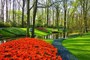 Keukenhof – ráj holandských tulipánů