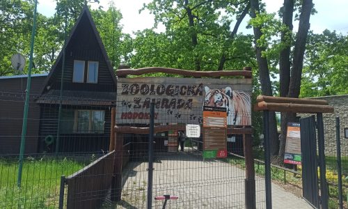 Zoo Hodonín – Užijte si den mezi exotickými zvířaty a rostlinami