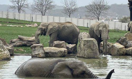 Zoo Zlín – setkání s exotikou